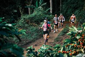 BIB: 
                            <button type="button" onclick="openModal(25823089)" class="btn btn-primary btn-sm float-right btn-popup" data-toggle="modal" data-target=".modal-high-quality">
                        <i class="fas fa-shopping-cart"></i> Add to Cart
                    </button>
                                            <button type="button" onclick="isThisMe(25823089, true)" class="btn btn-success btn-sm float-right btn-popup btn-isme hidden" data-toggle="tooltip" data-placement="bottom" title="นี่คือรูปของคุณใช่ไหม คลิกที่นี่เพื่อเอาเข้าอัลบั้ม">
                        <i class="fas fa-plus"></i> Add to album
                    </button>
                    <button type="button" onclick="isThisMe(25823089, false)" class="btn btn-warning btn-sm float-right btn-popup btn-isnotme hidden">
                        <i class="fas fa-ban"></i> Remove from album
                    </button>